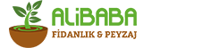 Alibaba Fidanlık & Peyzaj Logo