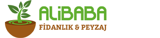 Alibaba Fidanlık & Peyzaj Logo